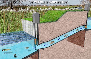 De Wit sluis-vispassage Cothen