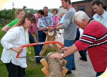 Boomstamzagen op De Fruitspelen in Cothen