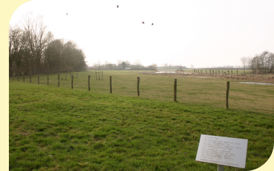 Wandelroute langs de Kromme Rijn