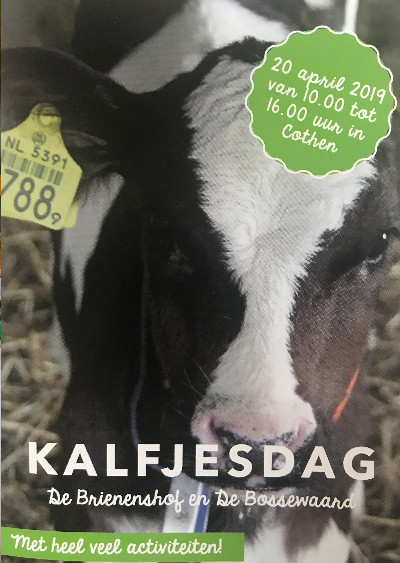 Kalfjes knuffelen op kalfjesdag